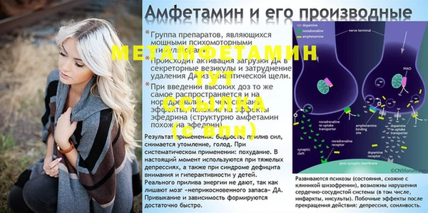 шишки Волоколамск