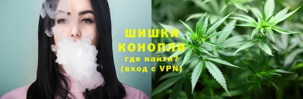 шишки Волосово