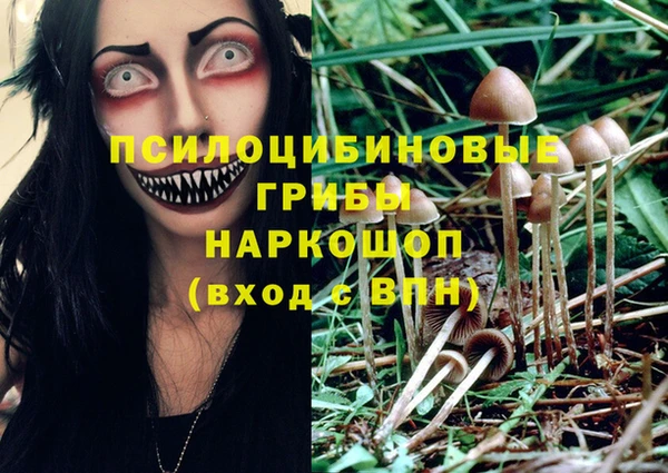 PSILOCYBIN Володарск