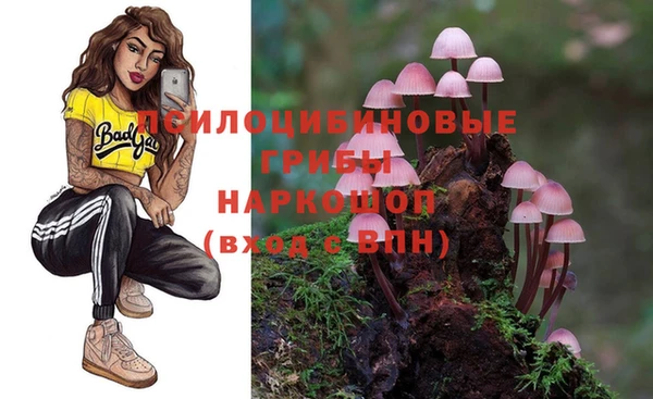 прущая мука Горняк